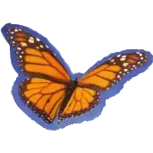 Logo Papillon